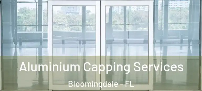  Aluminium Capping Services Bloomingdale - FL