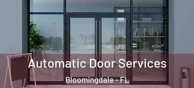  Automatic Door Services Bloomingdale - FL