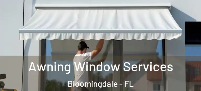  Awning Window Services Bloomingdale - FL