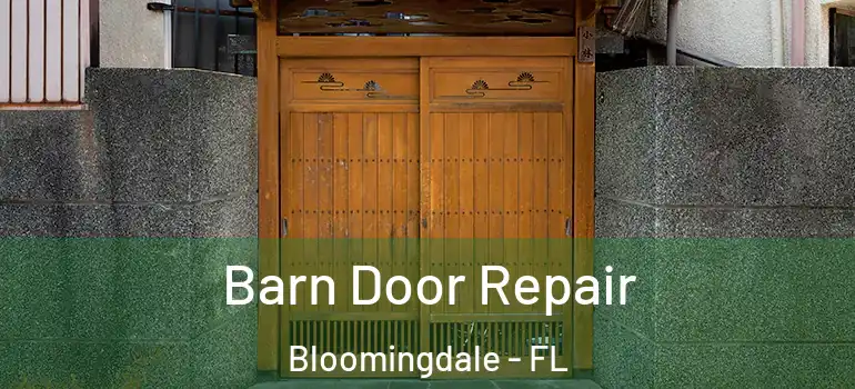  Barn Door Repair Bloomingdale - FL