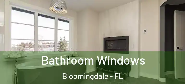  Bathroom Windows Bloomingdale - FL