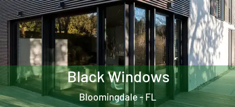  Black Windows Bloomingdale - FL