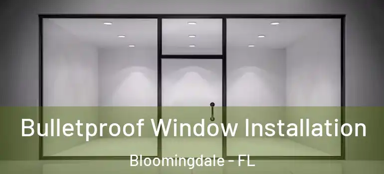  Bulletproof Window Installation Bloomingdale - FL