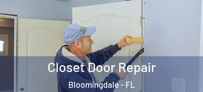  Closet Door Repair Bloomingdale - FL
