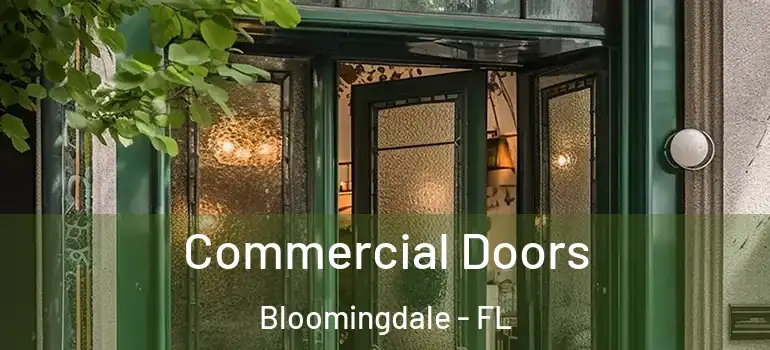  Commercial Doors Bloomingdale - FL