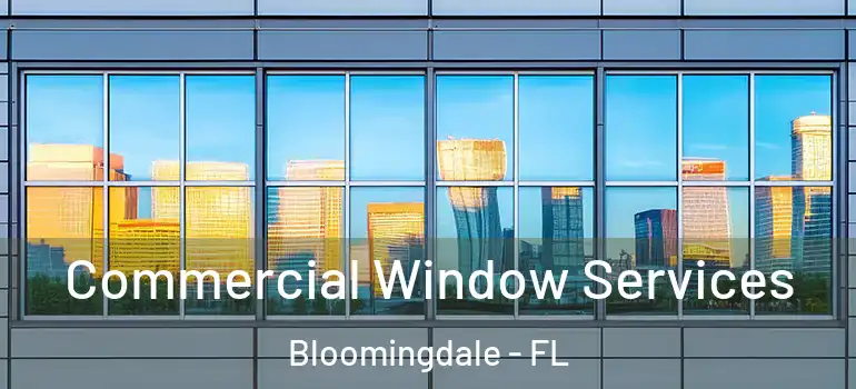  Commercial Window Services Bloomingdale - FL