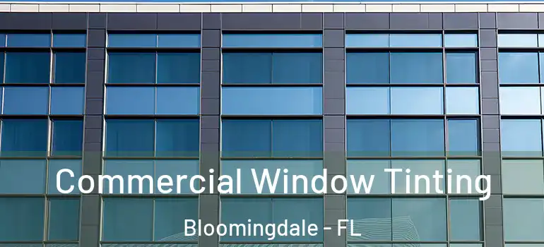  Commercial Window Tinting Bloomingdale - FL