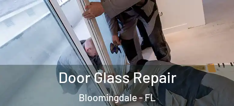  Door Glass Repair Bloomingdale - FL