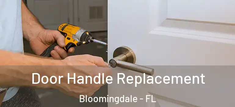  Door Handle Replacement Bloomingdale - FL