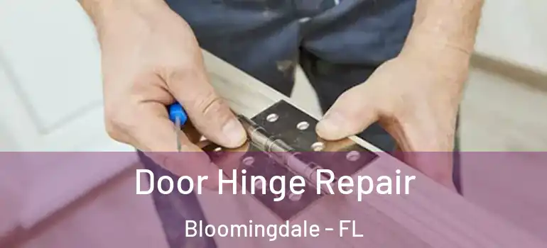  Door Hinge Repair Bloomingdale - FL