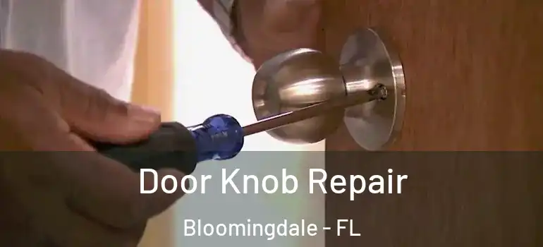  Door Knob Repair Bloomingdale - FL