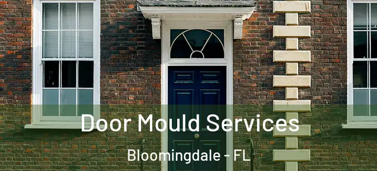  Door Mould Services Bloomingdale - FL
