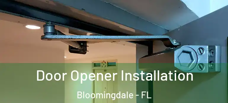  Door Opener Installation Bloomingdale - FL