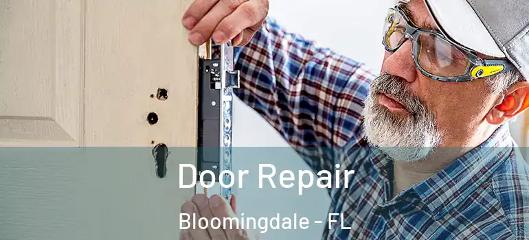  Door Repair Bloomingdale - FL