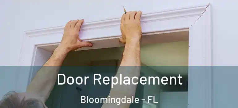  Door Replacement Bloomingdale - FL