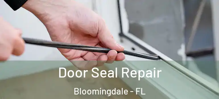  Door Seal Repair Bloomingdale - FL