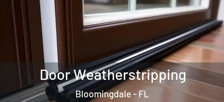  Door Weatherstripping Bloomingdale - FL
