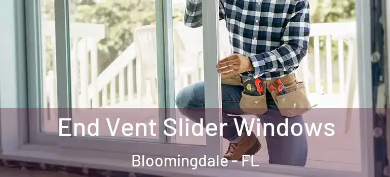  End Vent Slider Windows Bloomingdale - FL