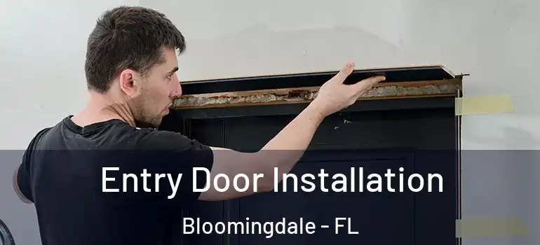  Entry Door Installation Bloomingdale - FL