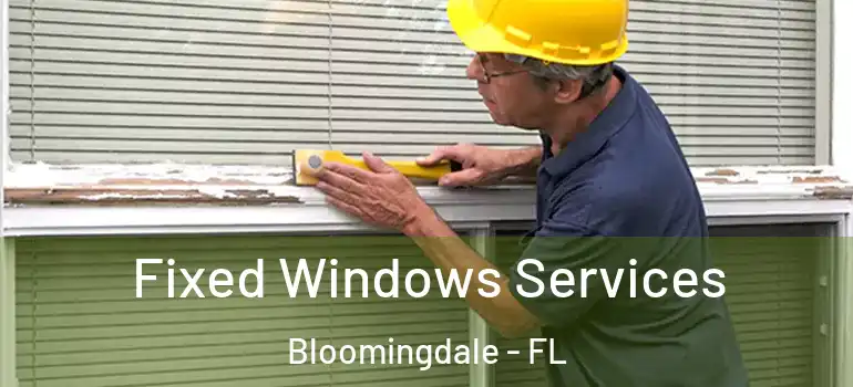  Fixed Windows Services Bloomingdale - FL