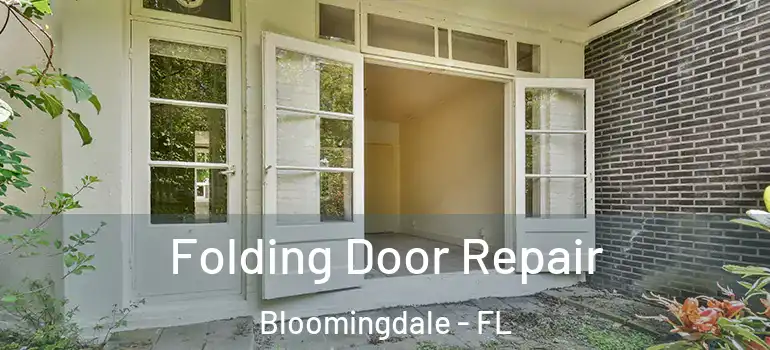  Folding Door Repair Bloomingdale - FL