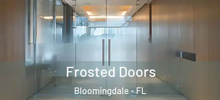  Frosted Doors Bloomingdale - FL