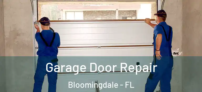  Garage Door Repair Bloomingdale - FL