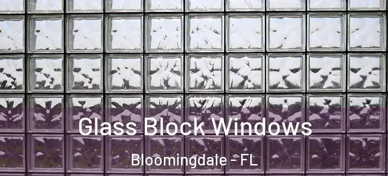  Glass Block Windows Bloomingdale - FL
