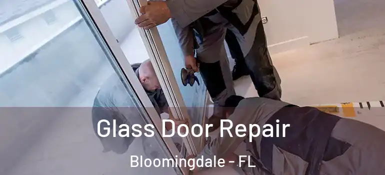  Glass Door Repair Bloomingdale - FL