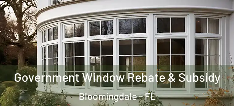  Government Window Rebate & Subsidy Bloomingdale - FL