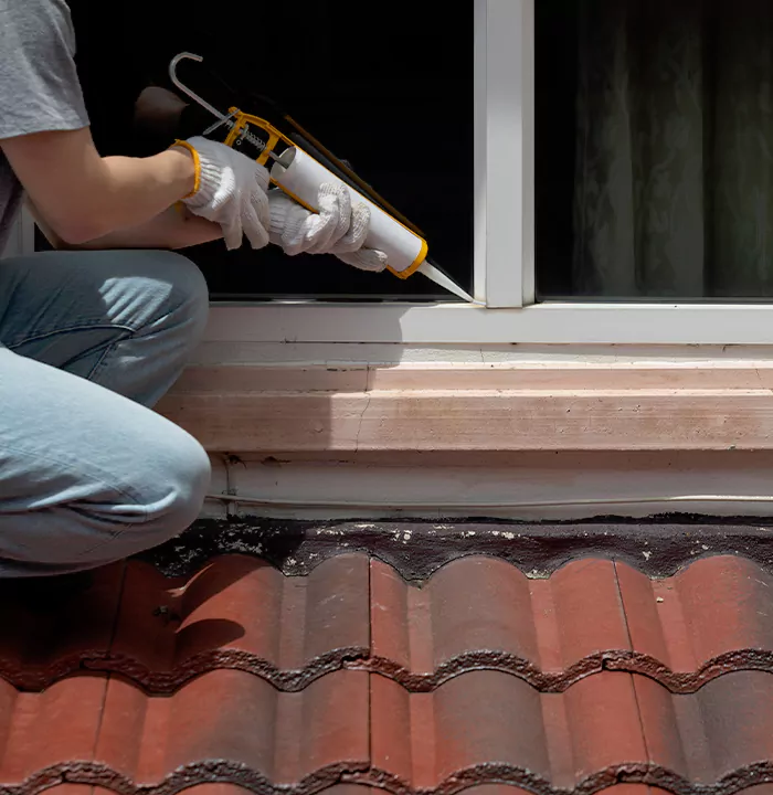 Roof Window Services in Bloomingdale, Florida