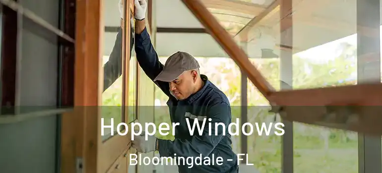  Hopper Windows Bloomingdale - FL