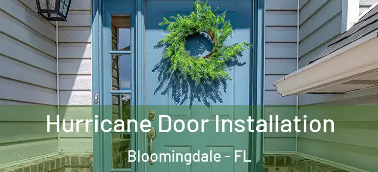  Hurricane Door Installation Bloomingdale - FL