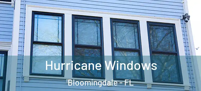  Hurricane Windows Bloomingdale - FL
