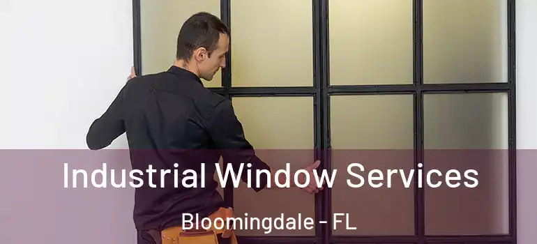  Industrial Window Services Bloomingdale - FL