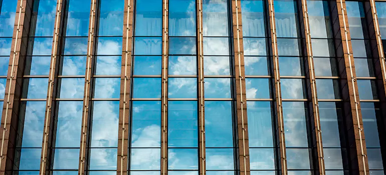 Professional Window Tinting Services in Bloomingdale, FL
