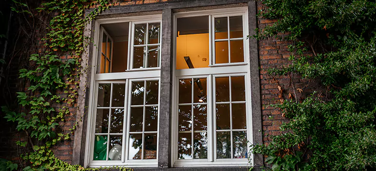 Energy Efficient Wood Windows in Bloomingdale, FL