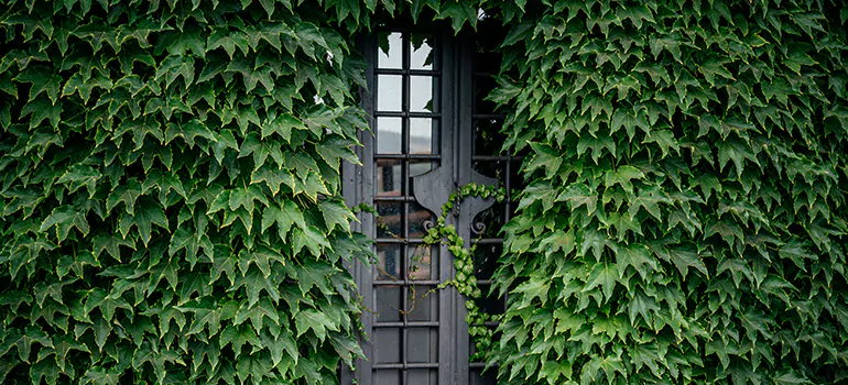 Garden Gate Repair in Bloomingdale, FL