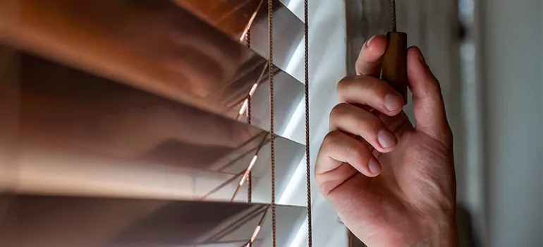 Double Roller Blinds in Bloomingdale, FL
