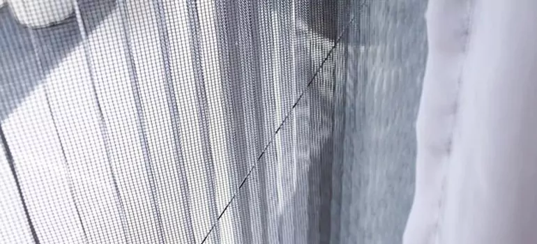 Fixing Screen Window Mesh in Bloomingdale, FL