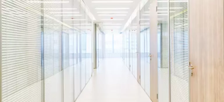 Frosted Glass Windows Replacement in Bloomingdale, FL