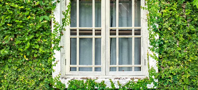 Garden Window Repair Near Me in Bloomingdale, FL