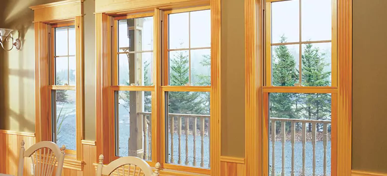 Government Incentives For Replacement Windows in Bloomingdale, FL
