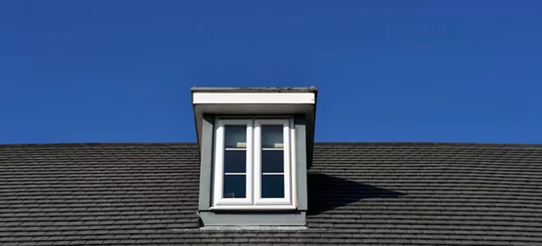 Roof Window Installation in Bloomingdale, FL