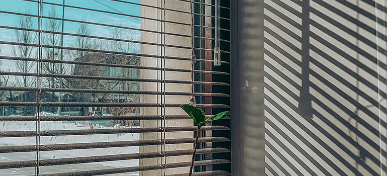 Commercial Window Blinds in Bloomingdale, FL