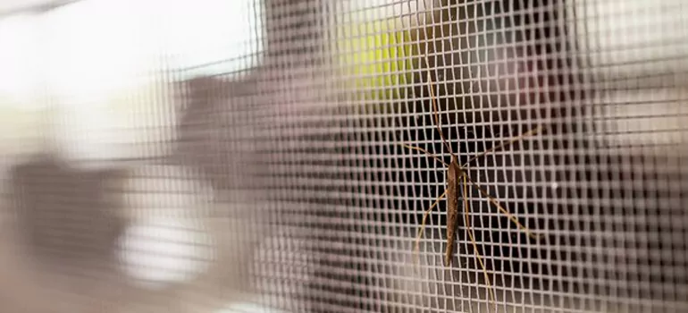 Repair Mosquito Mesh For Windows in Bloomingdale, FL