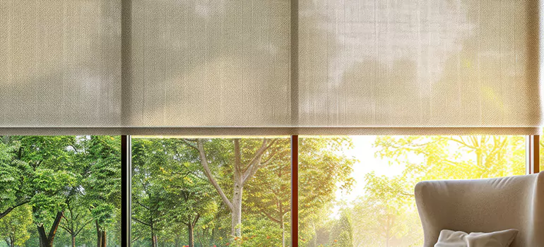 Custom Window Shades in Bloomingdale, FL