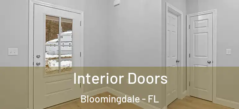  Interior Doors Bloomingdale - FL