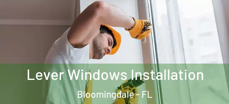  Lever Windows Installation Bloomingdale - FL