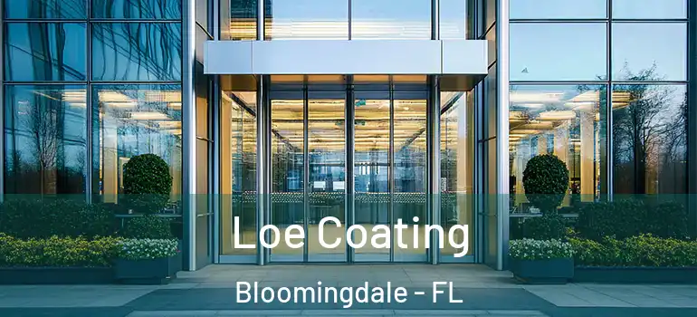  Loe Coating Bloomingdale - FL